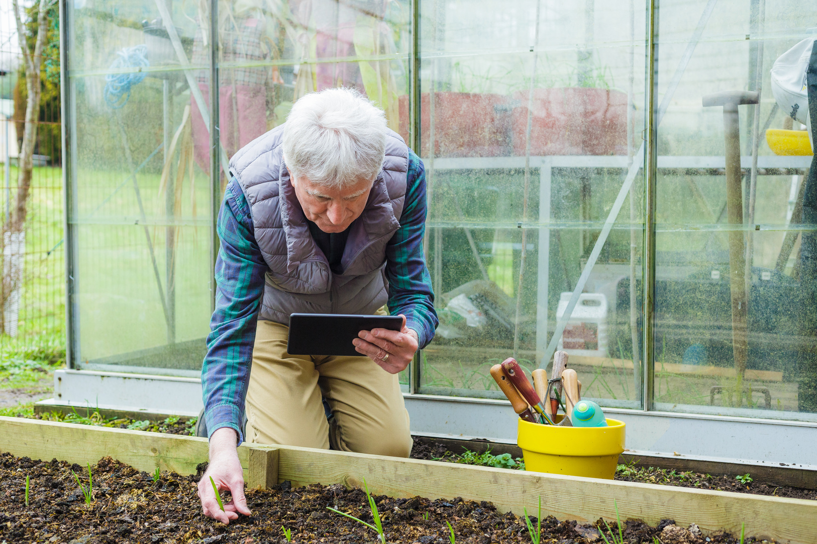 Rural professional checking crops while using digital tablet