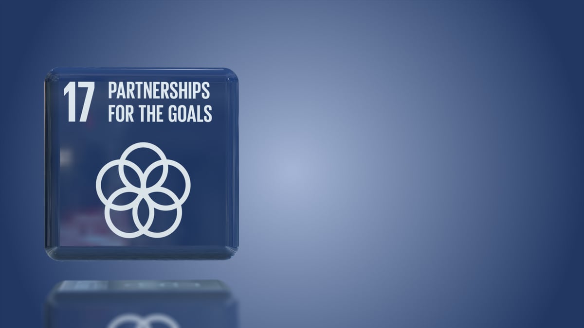 Number 17 Partnerships for the goals 3D box UN sustainability goals 2030 with copy space