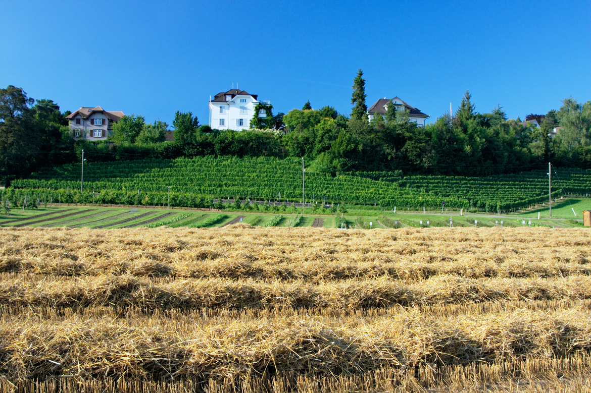 Rural Meets Residential