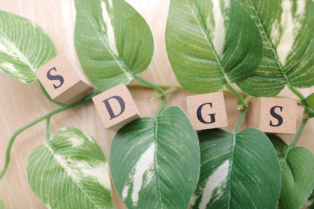 SDGs