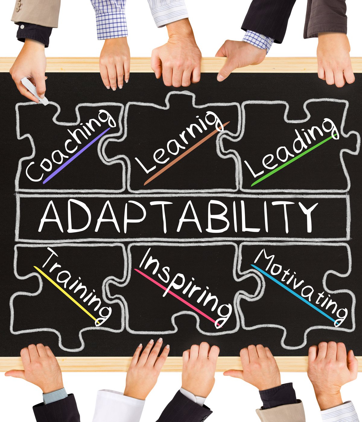 ADAPTABILITY concept
