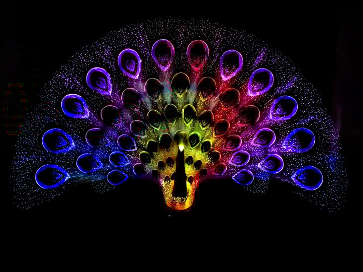 Digital Peacock