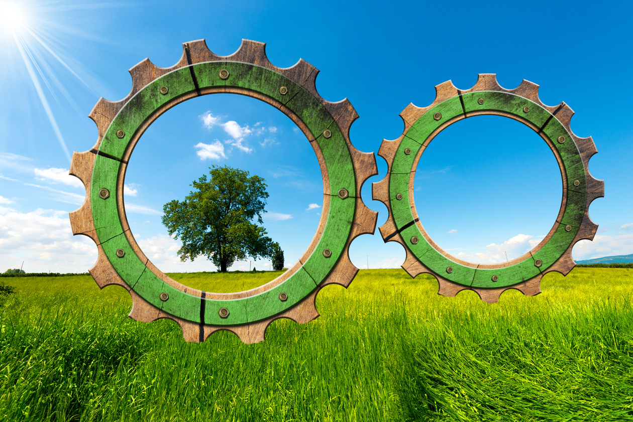 Green Economy - Gears in Countryside