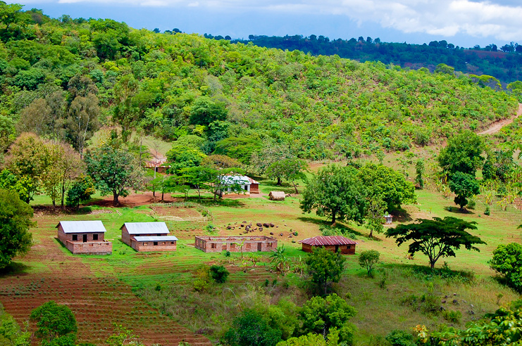 Remote African Village
