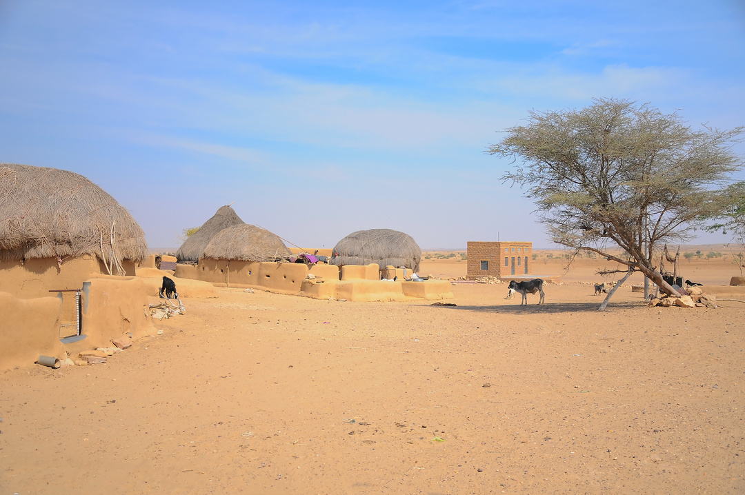 Remote village in Thar Desert, Rajasthan, India