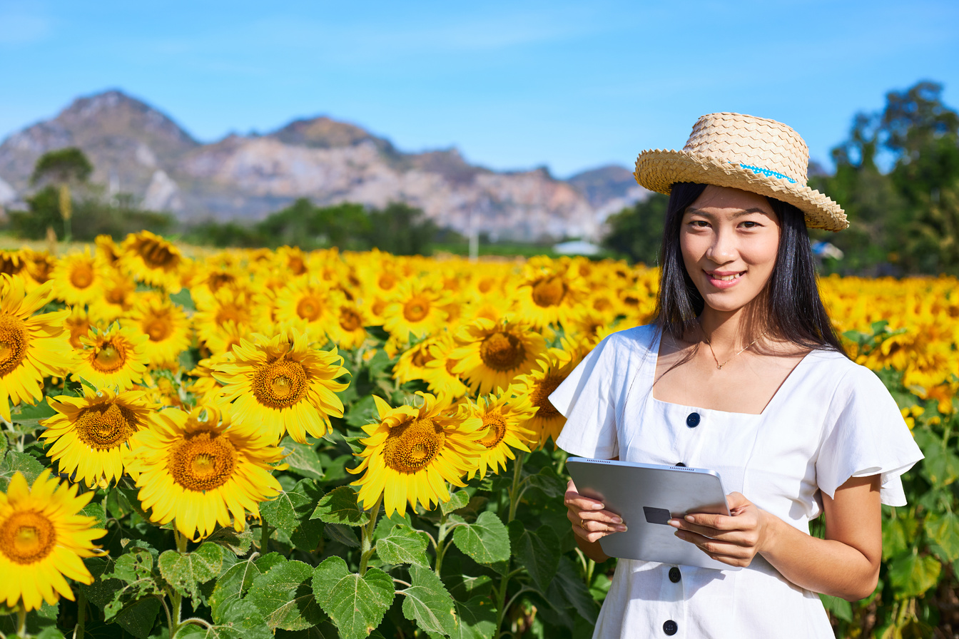 Smart young female farmer holding a tablet in a sunflower field. The use of technology enhancement for agricultural products.